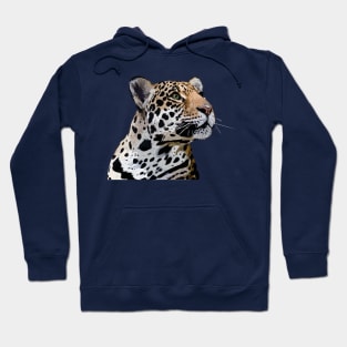 Jaguar Hoodie